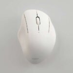 ELECOM SHELLPHA 無線3鍵靜音滑鼠 (S號/M號) (白色/粉色) (ME-ESH11BW/M-SH11MBSKWH) (ME-ESH11BP/M-SH11MBSKPN) (ME-ESH10BW/M-SH10MBSKWH) (ME-ESH10BP/M-SH10MBSKPN) #1年保固